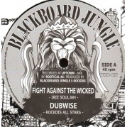 Irie Souljah - Fight Against the Wicked