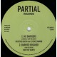 Dub The Earth feat. Steve Swann - No Barriers