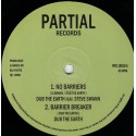 Dub The Earth feat. Steve Swann - No Barriers