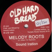 Sound Iration - Melody Roots
