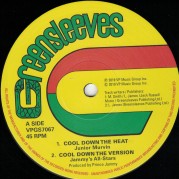 Junior Murvin - Cool Down The Heat