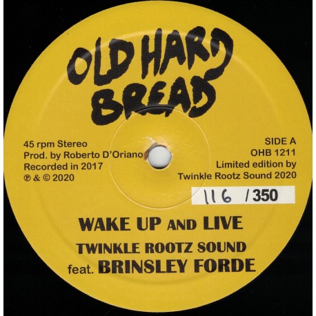 Twinkle Rootz Sound feat. Brinsley Forde - Wake Up And Live
