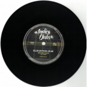 Indica Dubs & Kai Dub - Elevation Dub