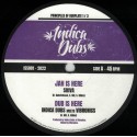 Indica Dubs meets Vibronics - Principles Of Dubplate 1/3