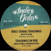 Murray Man - Bible School Teachings